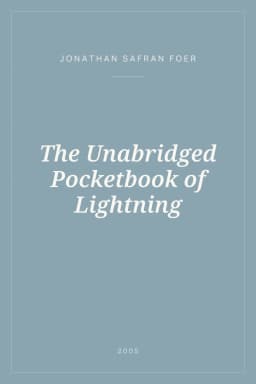 Portada de The Unabridged Pocketbook of Lightning