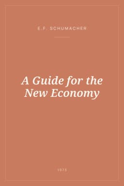Portada de A Guide for the New Economy