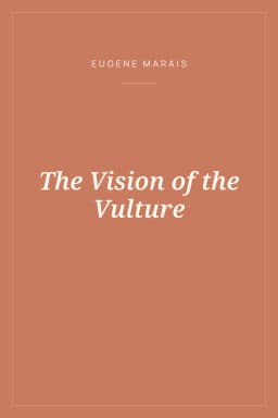 Portada de The Vision of the Vulture