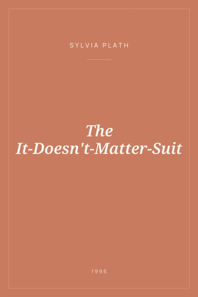 Portada de The It-Doesn't-Matter-Suit