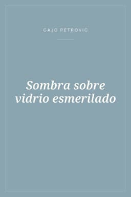 Portada de Sombra sobre vidrio esmerilado