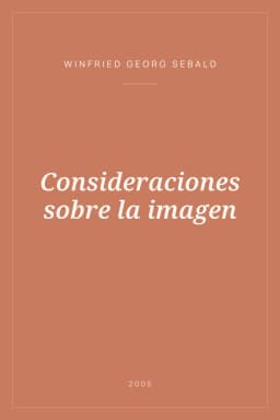 Portada de Consideraciones sobre la imagen