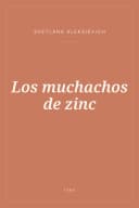 Portada de Los muchachos de zinc