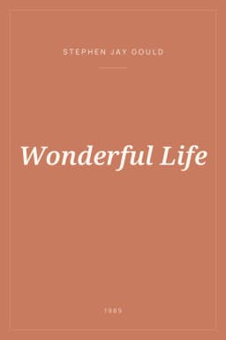 Portada de Wonderful Life