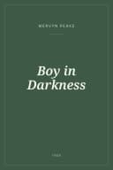 Portada de Boy in Darkness
