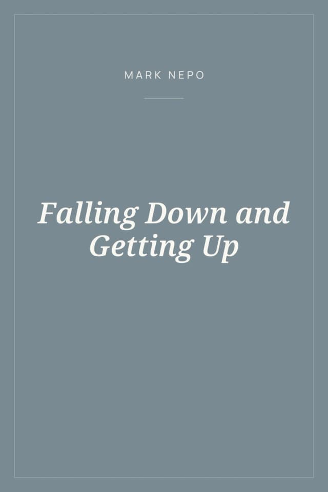Portada de Falling Down and Getting Up