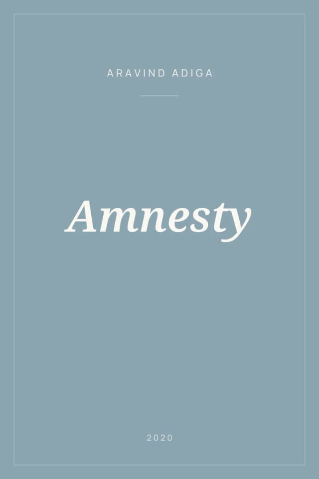 Portada de Amnesty