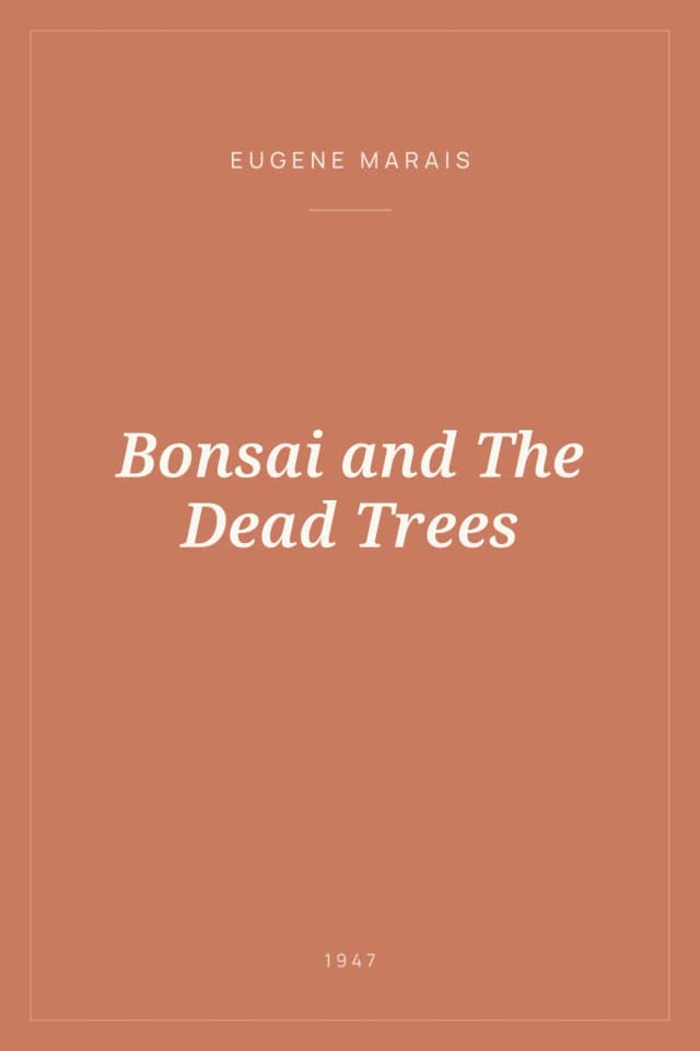 Portada de Bonsai and The Dead Trees
