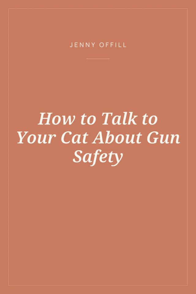 Portada de How to Talk to Your Cat About Gun Safety