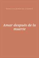 Portada de Amar después de la muerte