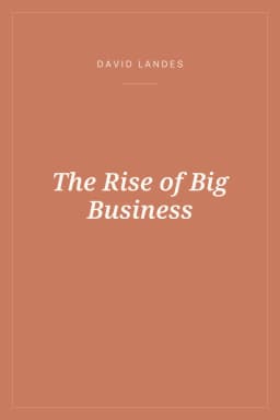 Portada de The Rise of Big Business