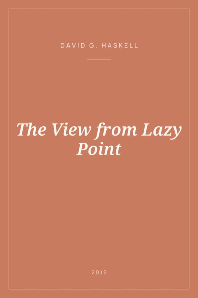 Portada de The View from Lazy Point