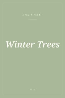 Portada de Winter Trees