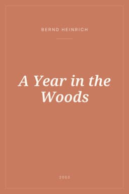 Portada de A Year in the Woods
