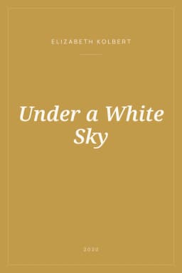 Portada de Under a White Sky