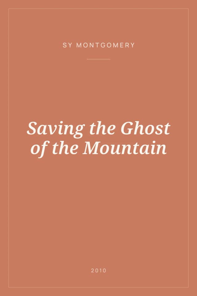 Portada de Saving the Ghost of the Mountain