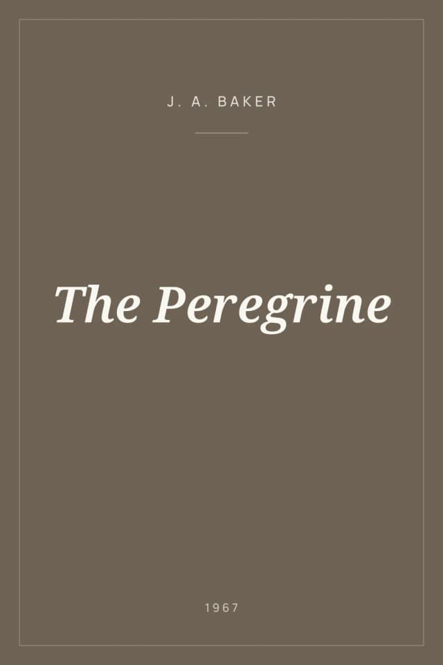 Portada de The Peregrine